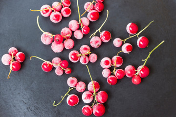 Frozen red currants on a black background
