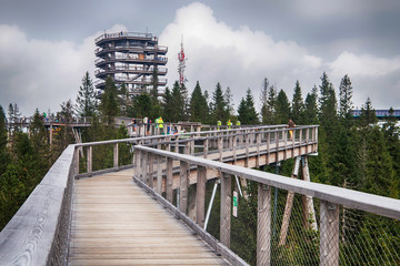 Wooden among the trees with view on Tatra montains, named 