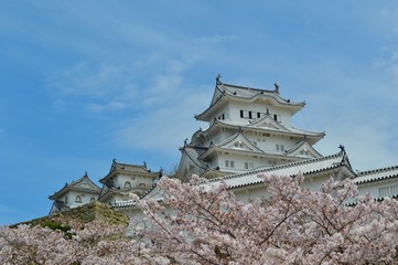 Naklejka premium 世界遺産姫路城
