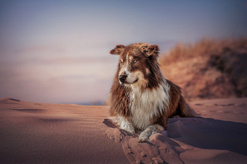 Beachtime