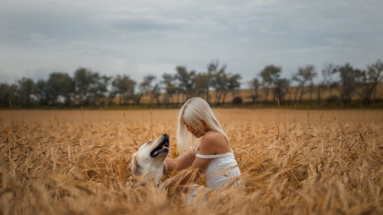 Obraz premium Blonde girl with a dog sitting in a field of wheat