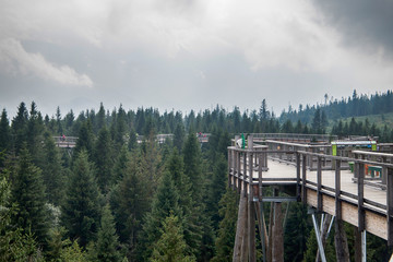 Wooden among the trees with view on Tatra montains, named "Chodník korunami stromov", Zdziar, Slovakia.