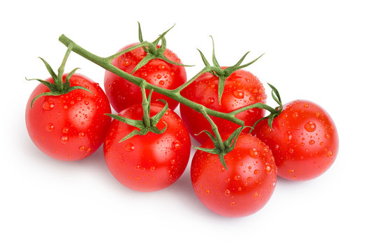 Branch of delicious fresh cherry tomatoes with water drops, isolated on white background