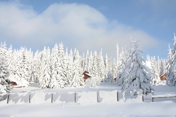 winter landscape on the mountain