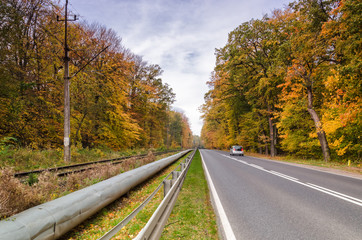 COLORFUL AUTUMN - cars on asphalt road and railway trail among beech golden forest