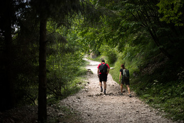 Fototapeta premium Walking, trekking in the open air.