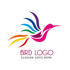bird logo vector design template