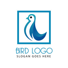 Fototapeta na wymiar bird logo vector design template