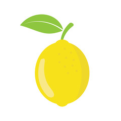 lemon - fruit icon vector design template
