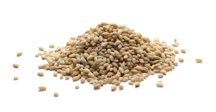 Peeled barley grains isolated on white background