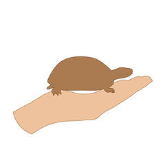 Vector illustration of a hand in a defensive gesture protecting a turtle. Symbol of animal,environmental, ecology, safe, care, protection.