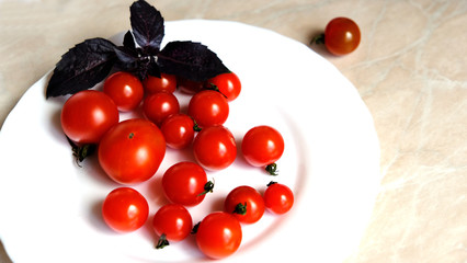 cherry tomatoes on a white background