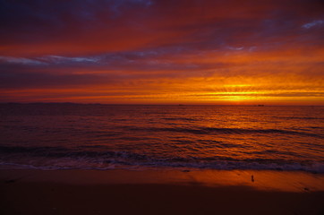 일볼. 바다. 컬러. 해수욕장. 배경. 이미지.