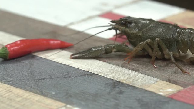 live crayfish on a plate