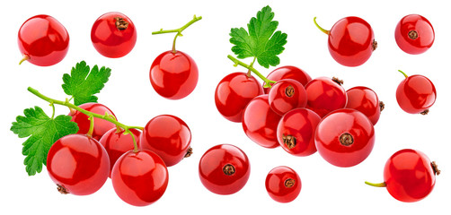 Red currant isolated on white background with clipping path, collection