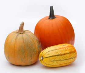 Pumpkins, isolated, vegetable, helloween