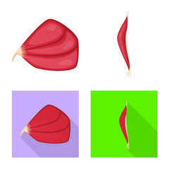 Vector design of fiber and muscular sign. Set of fiber and body stock vector illustration.