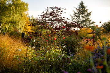 Herbst in Düsseldorf - Deutschland