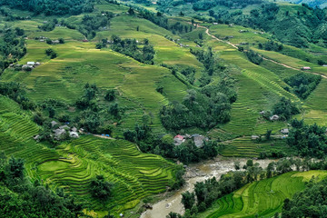 Fototapeta na wymiar Rice fields on terraced in Sapa, Vietnam. Rice fields prepare the harvest at Northwest Vietnam.