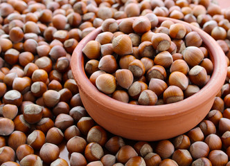 Fresh hazelnuts from Black sea region