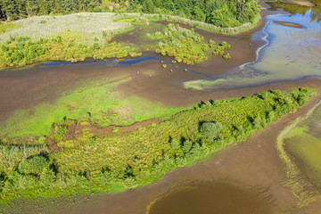 Fototapeta na wymiar Blick auf einen fast ausgetrockneten Waldsee aus der Vogelperspektive