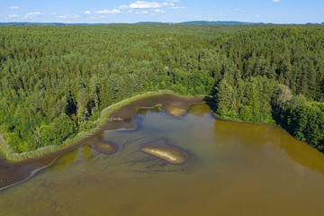 Ein fast ausgetrockneter Waldsee aus der Vogelperspektive