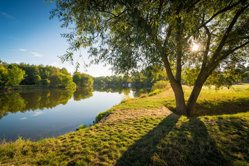 Baum am Fluss im Herbst - Sonnenaufgang