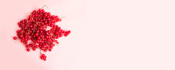 Creative concept of bright ripe currant berry on a white background. Can be used for poster, web banner, print