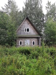 Fototapeta premium old wooden house in the forest