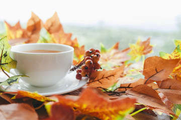 Tea set among autumn leaves