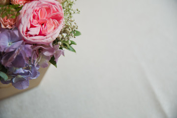 Background with violet,pink peonies on a white background . Pink flower bouquet for text .