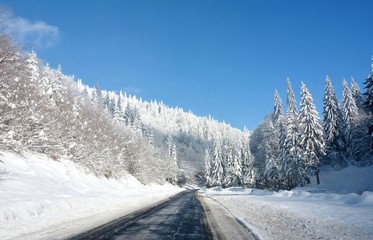 a road through the snow-covered trees