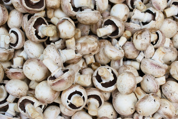 fresh mushrooms background