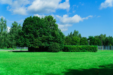 summer green park without people with blue sky and white clouds