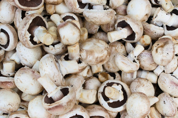 mushrooms background