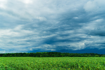 Fototapeta na wymiar green field with skyline and dark stormy sky