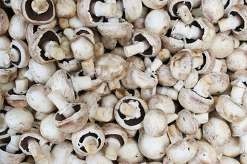 fresh mushrooms background