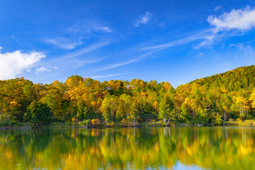 紅葉の森林と池