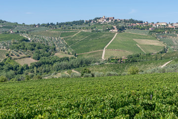 The beautiful Tuscan countryside in the Chianti area near the village of Panzano, Florence, Italy