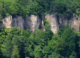 Fototapeta premium Rocks. A steep cliff in the middle of the green forest.