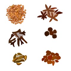 Spices for cooking. Spices: cloves, cinnamon, cardamom, black pepper. Spicy seasoning for a special taste.