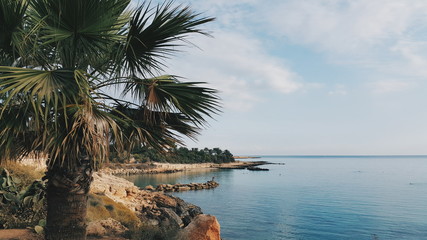 Fototapeta na wymiar View of the beach and sea in the morning in Cyprus, Greece with a palm tree in the foreground