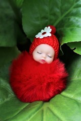 flower fairy of the garden