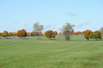 Fototapeta premium Colors of Fall