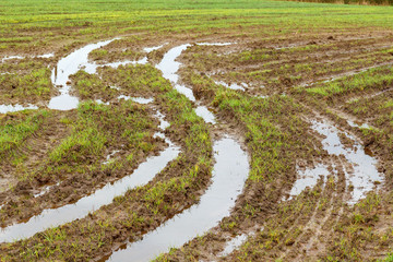 Field and road after heavy rains. Deep ruts from the wheels of agricultural machinery, puddles and dirt on the field. Severe weather conditions during field work due to rain in agriculture.