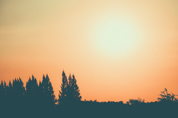 Obraz premium landscape. Silhouette of coniferous trees on the background of mountains and colorful sky. Sunset
