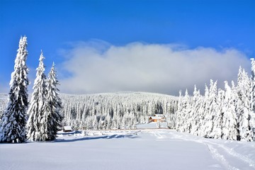 winter landscape on the mountain