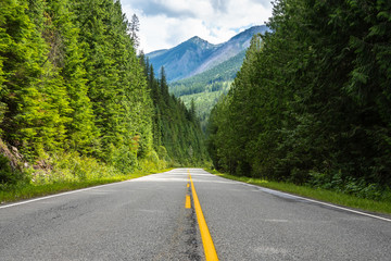 Empty straight stretch of a mountain road through a dense pine forest and cloudy sky