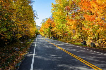Straight stretch of a mountain road through a colourful maple tree forest on clear autumn day