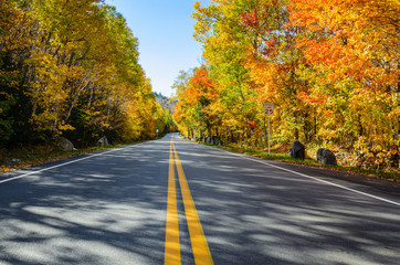 Deserted mountain road running through colourful woods on a sunny autumn day